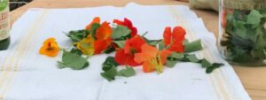 IMG_0662-scaled-e1675195785522-768x288
